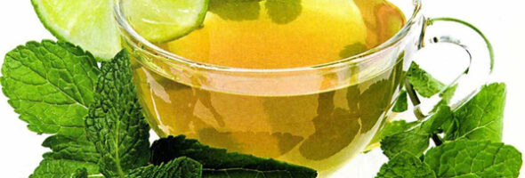 El Té Verde como Suplemento Dietético para Bajar de Peso