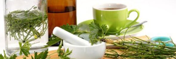 Medicina Alternativa para Adelgazar con Remedios Naturales