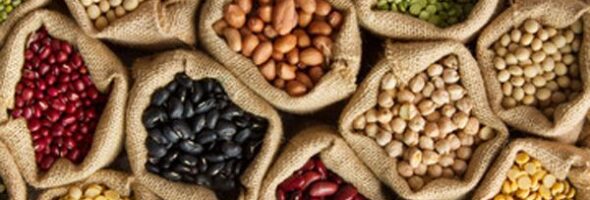 4 Razones para incluir porotos en tu dieta para adelgazar