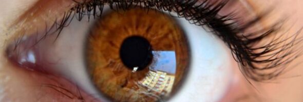 Vitaminas y minerales para mejorar la visión