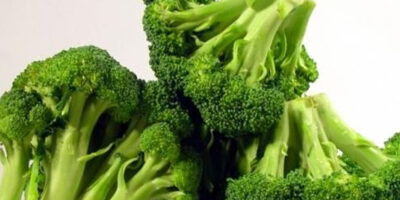 Brócoli: Beneficios nutricionales de este super alimento!