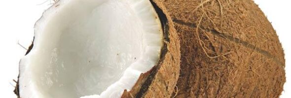 5 Beneficios nutricionales del Coco para la salud