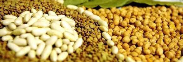 Fibra dietética, un superalimento para una óptima salud