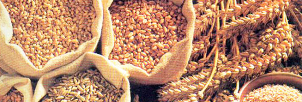 Los cereales integrales pueden ser la solución para bajar de peso