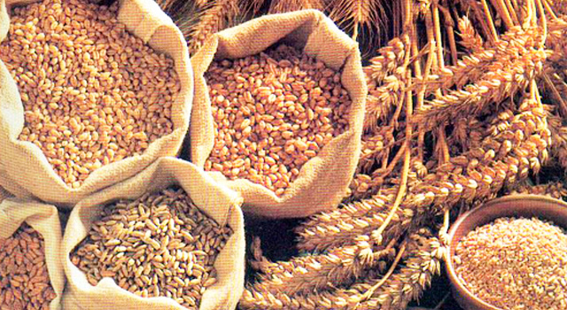 cerealesintegrales