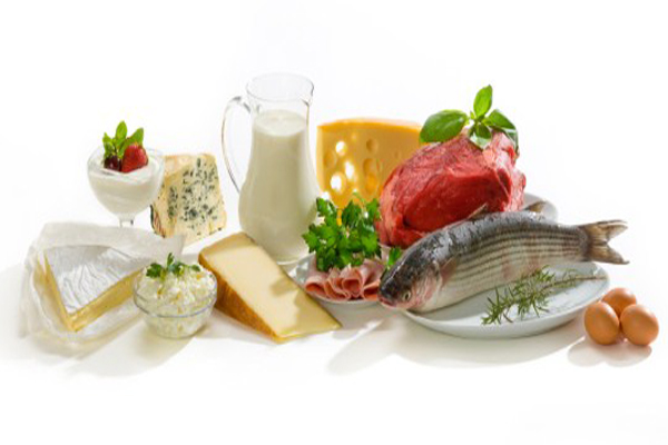 dieta alta en proteínas y baja en carbohidratos
