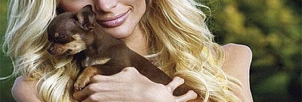 Dieta excesiva vs. enfermedades ¿Vale la pena el riesgo?