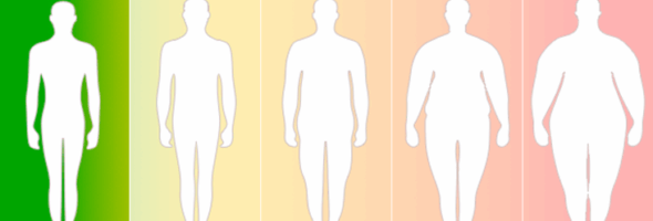 Sencillos pasos para cálcular el índice de masa corporal