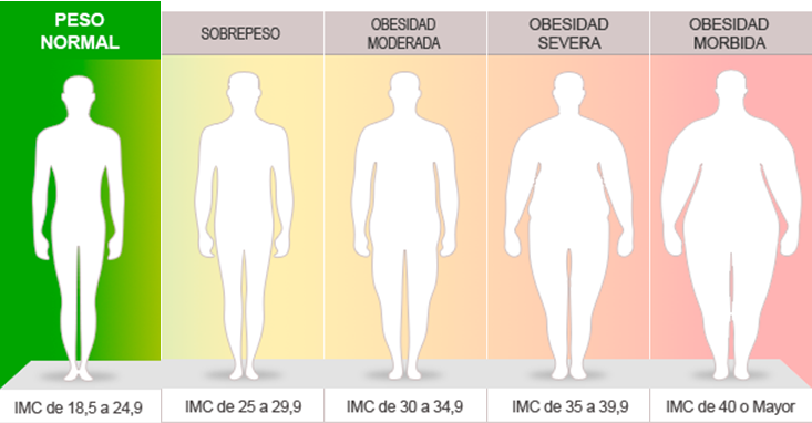 sencillos pasos para calcular el índice de masa corporal