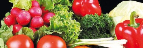 Dieta vegetariana para adelgazar