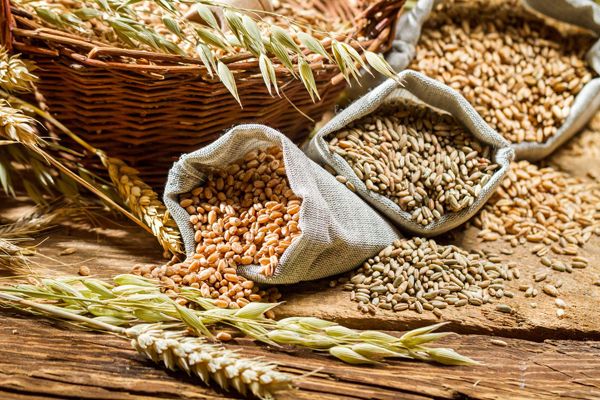 5 Super Cereales que debes incluir en tu dieta
