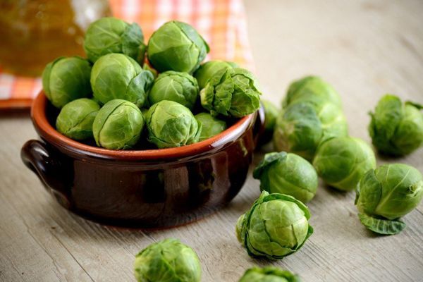 Repollitos de Bruselas: El alimento perfecto de la naturaleza