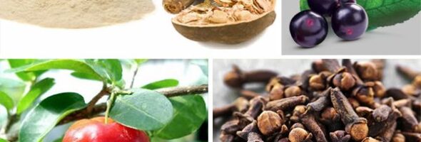 4 Nuevos superalimentos ricos en nutrientes
