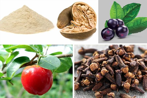 4 Nuevos superalimentos ricos en nutrientes 4 Nuevos superalimentos ricos en nutrientes