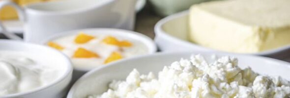 5 Principales productos lácteos ricos en grasa