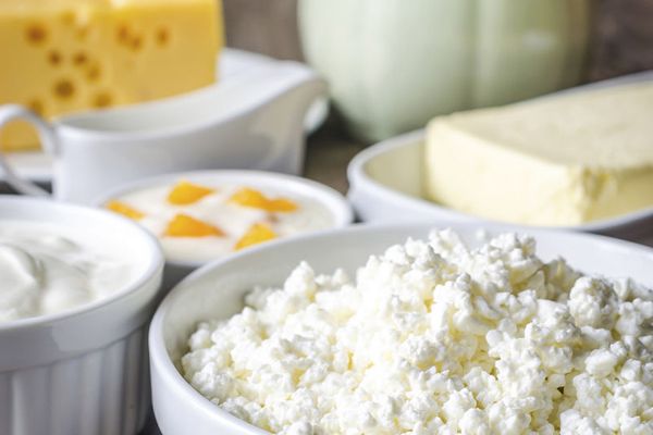 5 Principales Productos Lácteos Ricos en Grasa