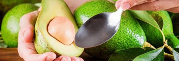 Palta: Propiedades y beneficios nutricionales