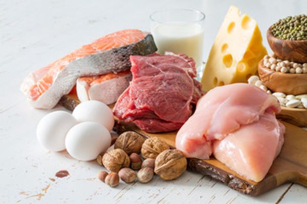 Proteína: 5 Principales beneficios