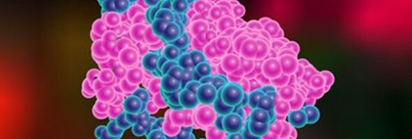 Qué es la leptina y su función