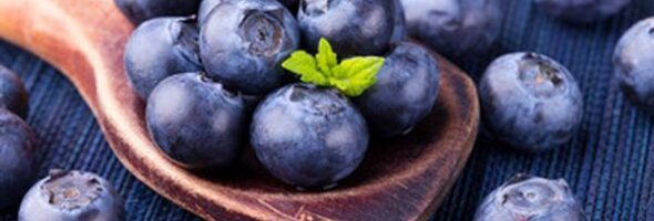 7 Beneficios saludables del arándano azul