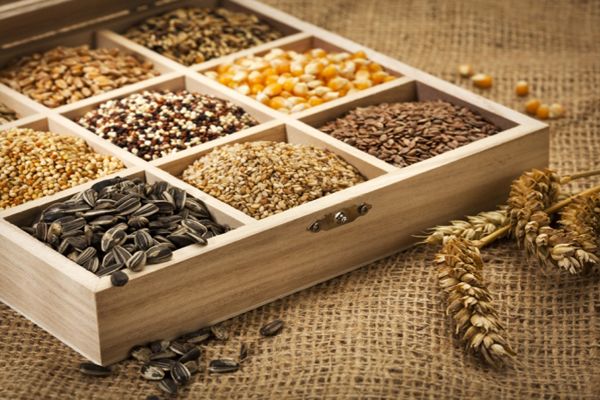 5 Semillas altas en proteínas para añadir a tu dieta