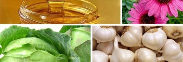 Fuentes alimenticias de antibióticos naturales mejoran la inmunidad
