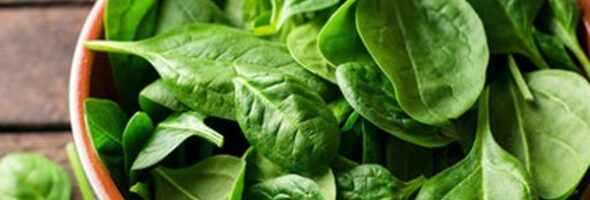 Beneficios de la espinaca y propiedades nutricionales